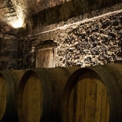 Wein von der Kellerei Donnafugata aus Italien