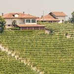 Weine aus dem Piemont bequem und einfach online kaufen