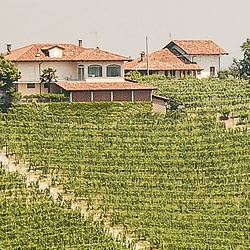 Wein von Enrico Serafino aus Italien
